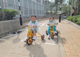 WhatsApp-Image-2026-02-10-at-4.21.29-PM