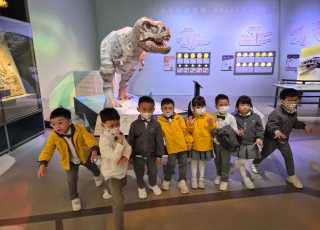 WhatsApp-Image-2026-02-10-at-4.51.40-PM