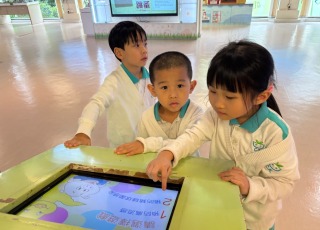 WhatsApp-Image-2026-02-10-at-4.01.51-PM