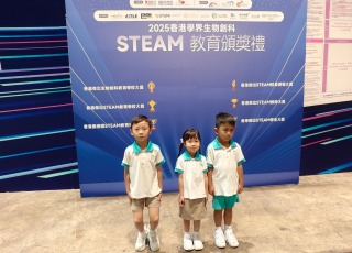 WhatsApp-Image-2026-02-10-at-3.49.43-PM